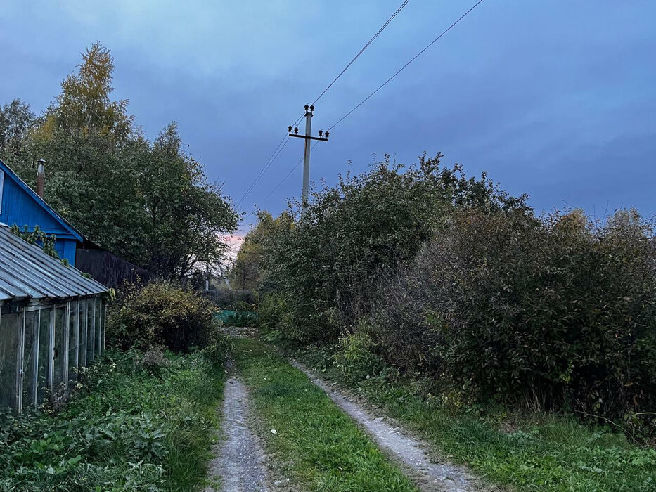 Екатеринбург, к/с Радуга - фото сада (4)