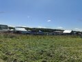 Продажа садового участка: п. Первомайский (г.о. Сысертский), СНТ Первомайский, уч. 62 (городской округ Сысертский) - Фото 4