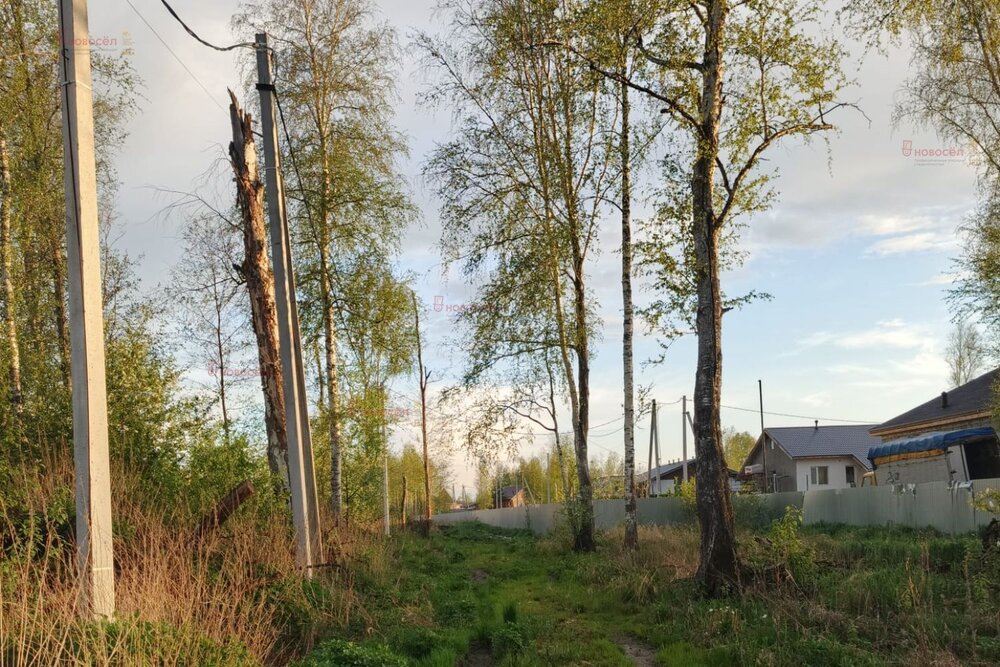 Екатеринбург, ул. 5-й Кианитовый, 6 (Полеводство) - фото земельного участка (6)