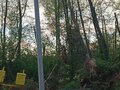 Продажа земельного участка: Екатеринбург, ул. 5-й Кианитовый, 6 (Полеводство) - Фото 8