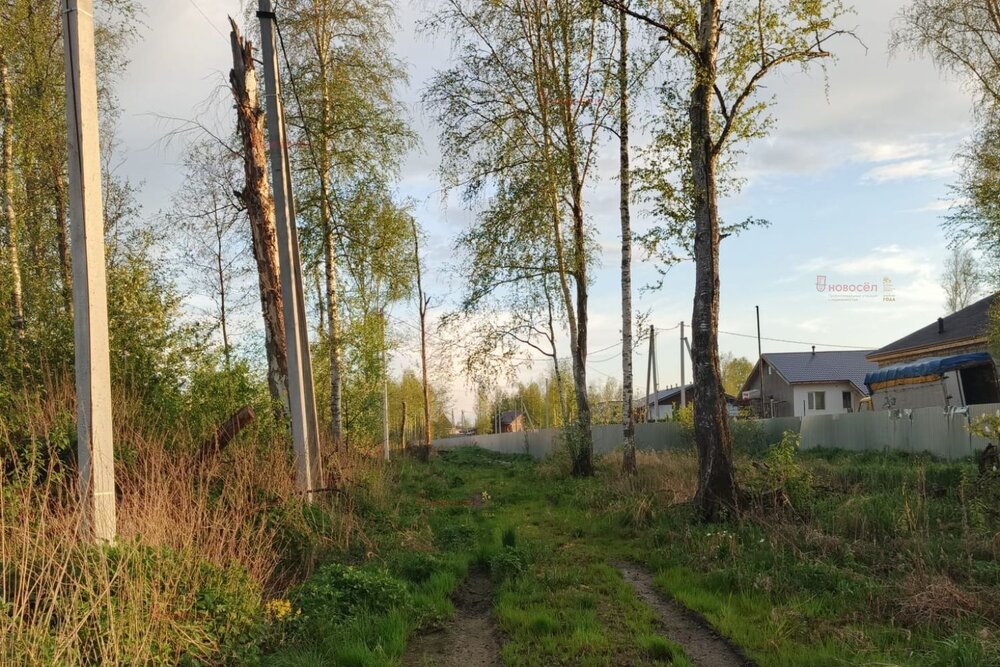 Екатеринбург, ул.  5-й Кианитовый, 4 (Полеводство) - фото земельного участка (5)