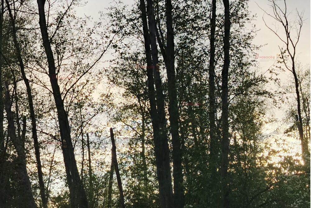 Екатеринбург, ул.  5-й Кианитовый, 4 (Полеводство) - фото земельного участка (8)