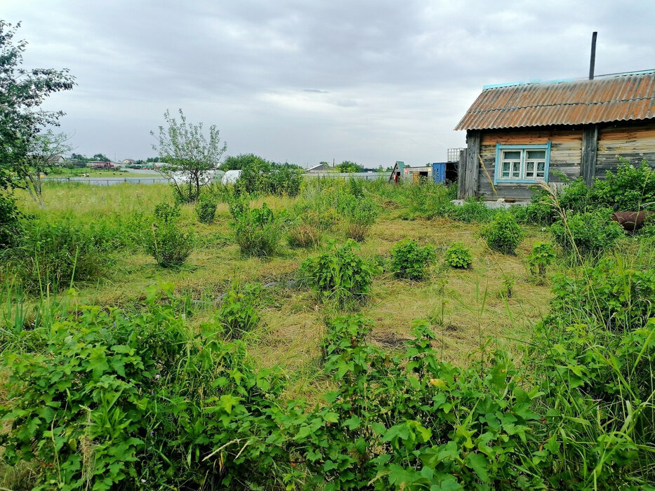 д. Златогорова, ул. Пионерская, 12 (городской округ Белоярский) - фото земельного участка (8)