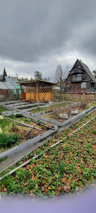 г. Нижний Тагил, к/с  СПК ГПО УВЗ №8 река Иса, ул. Свердловская область Пригородный район, СПК ГПО УВЗ №, 8 река Иса, ул. 1 , дом 84 (городской округ Нижний Тагил) - фото сада (9)
