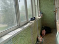 Продажа квартиры: Екатеринбург, ул. Черняховского, 45а (Химмаш) - Фото 6