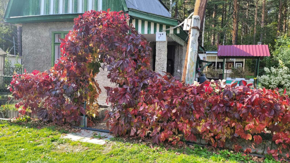 г. Верхний Тагил, ул. Ленина, 42 (городской округ Верхний Тагил) - фото дачи (1)