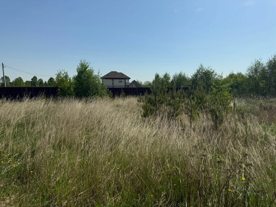 к.п. Становлянка, ул. Рябиновая (городской округ Березовский) - фото земельного участка (4)