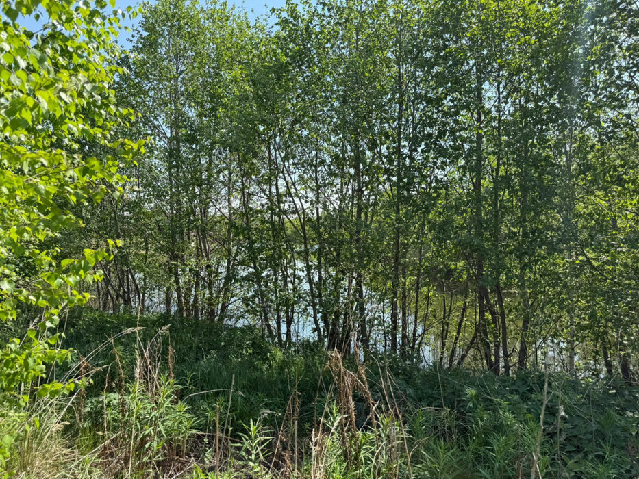 к.п. Становлянка, ул. Рябиновая (городской округ Березовский) - фото земельного участка (5)