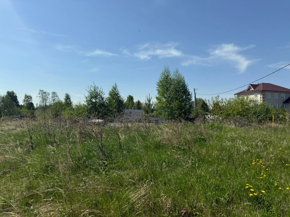 к.п. Становлянка, ул. Рябиновая (городской округ Березовский) - фото земельного участка (7)