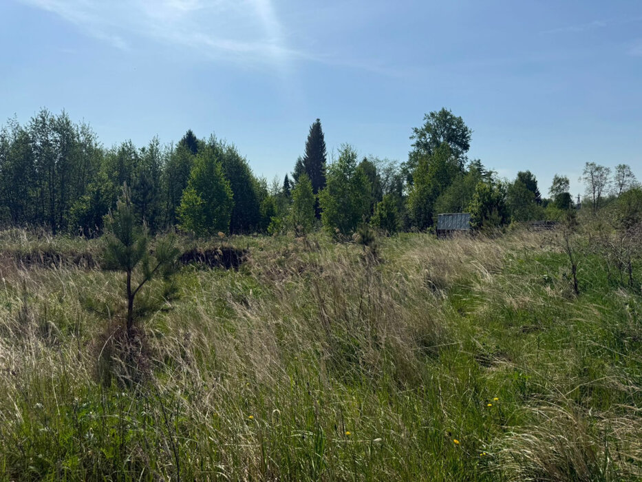 к.п. Становлянка, ул. Рябиновая (городской округ Березовский) - фото земельного участка (8)