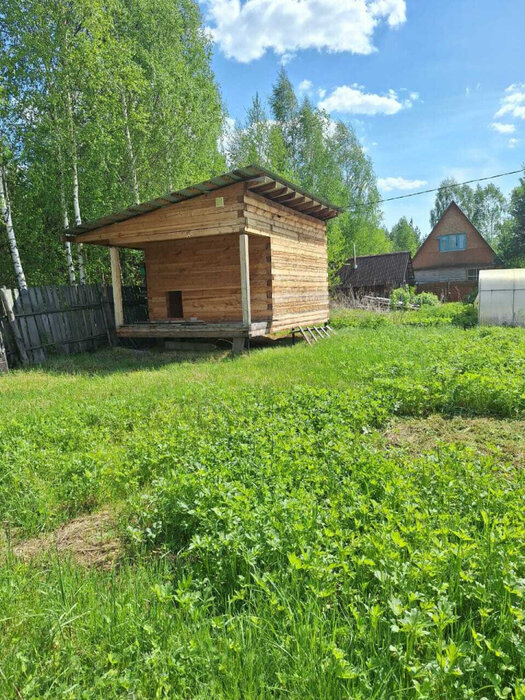 п. Сагра, СНТ Ягодка (городской округ Верхняя Пышма) - фото сада (7)