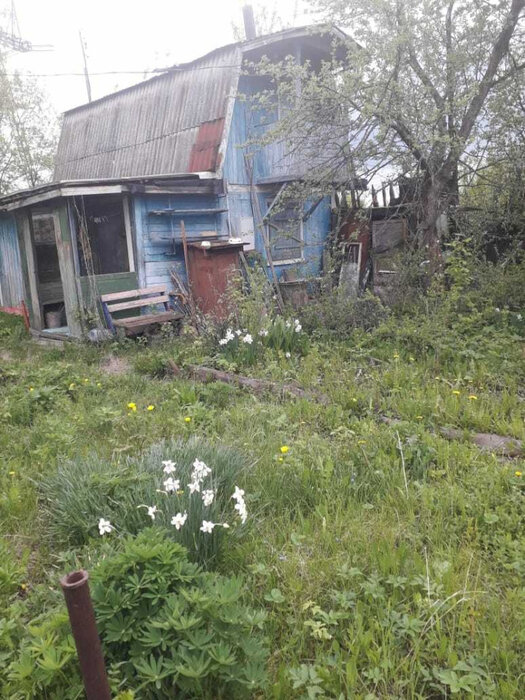 Екатеринбург, СНТ Химик (Вторчермет) - фото сада (2)