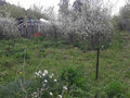 Продажа садового участка: Екатеринбург, СНТ Химик (Вторчермет) - Фото 6