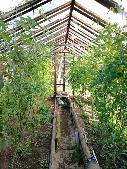 Екатеринбург, к/с Жилищник - фото сада (8)