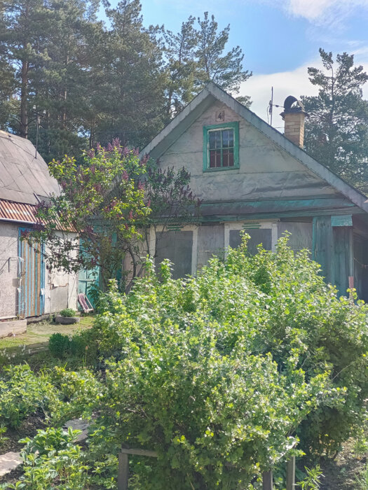 г. Первоуральск, СНТ №22 (городской округ Первоуральск) - фото сада (1)
