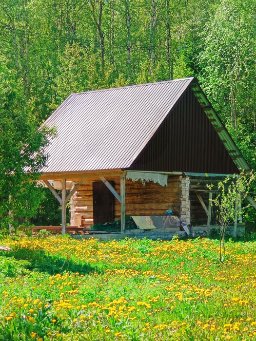 г. Первоуральск, коллективный сад № 87 (городской округ Первоуральск) - фото сада (1)