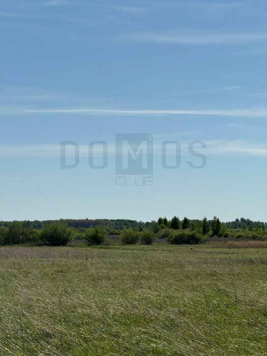 с. Логиново (городской округ Белоярский) - фото земельного участка (5)