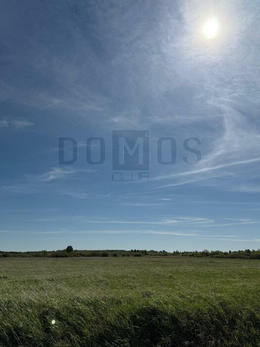 с. Логиново (городской округ Белоярский) - фото земельного участка (6)