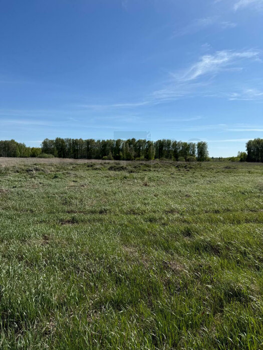 с. Логиново (городской округ Белоярский) - фото земельного участка (8)