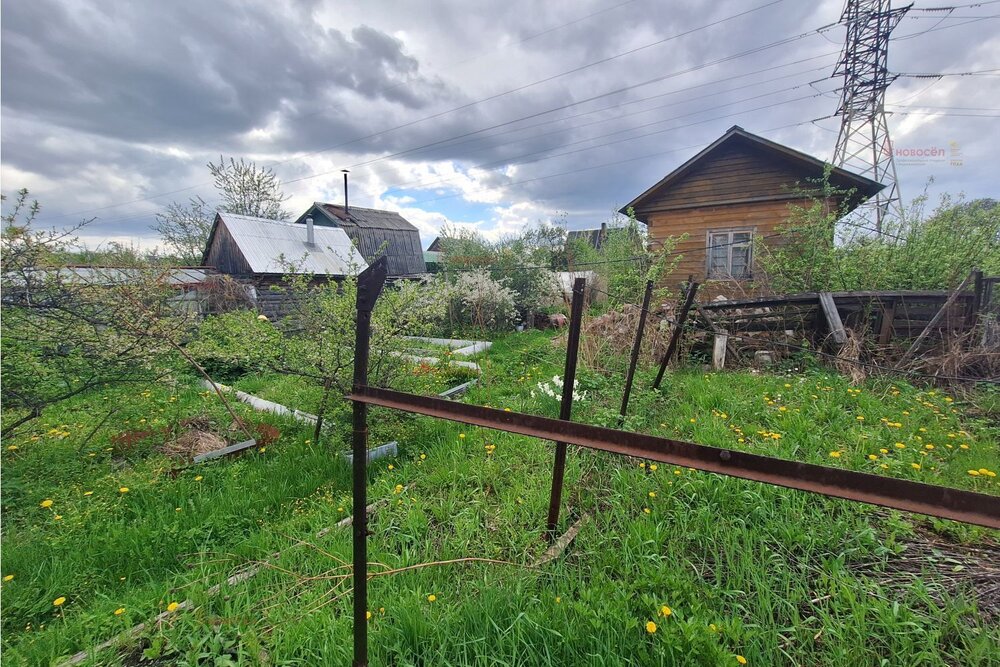 г. Среднеуральск, СНТ Гудок (городской округ Среднеуральск) - фото сада (7)