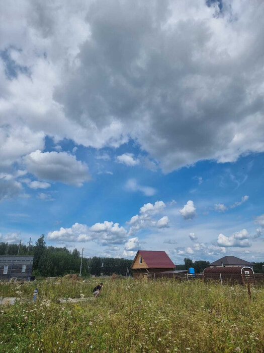 к.п. Александрия, ул. Двенадцатая, 5 (городской округ Белоярский, д. Гусева) - фото земельного участка (4)