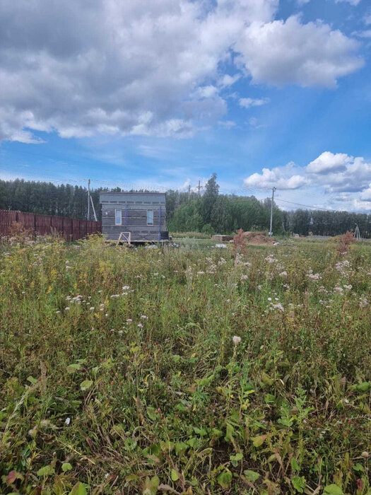 к.п. Александрия, ул. Двенадцатая, 5 (городской округ Белоярский, д. Гусева) - фото земельного участка (6)