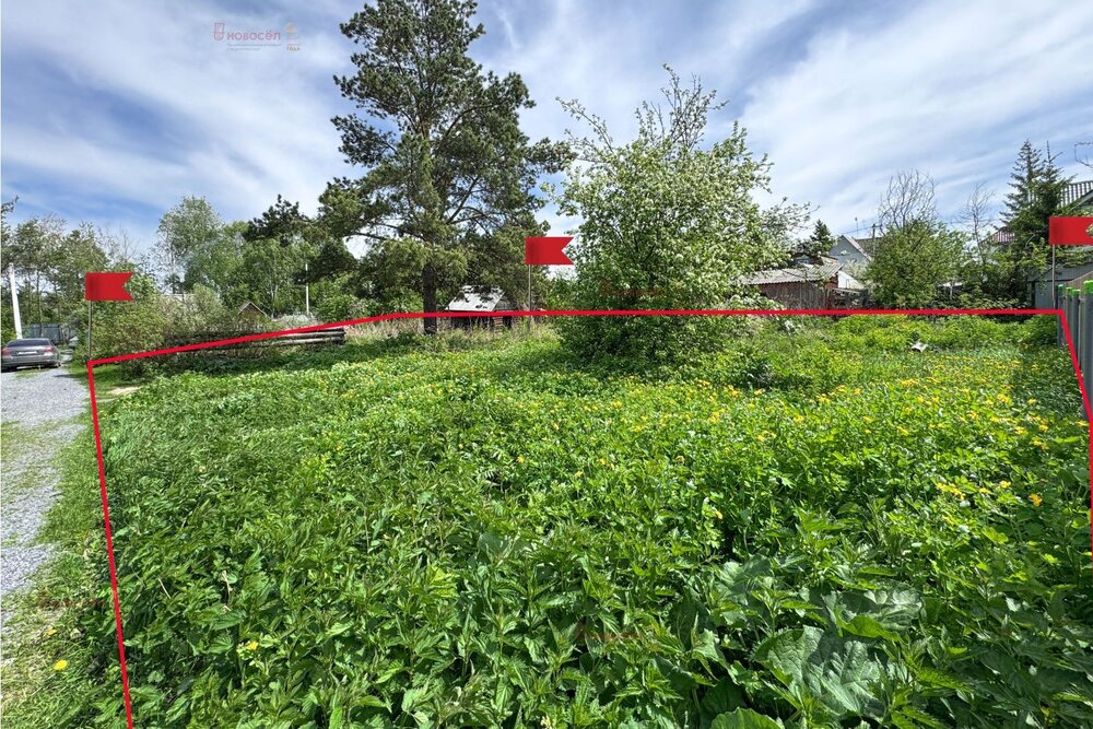 Екатеринбург, СНТ Восход, уч. 78 - фото сада (3)