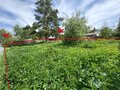 Продажа садового участка: Екатеринбург, СНТ Восход, уч. 78 - Фото 3