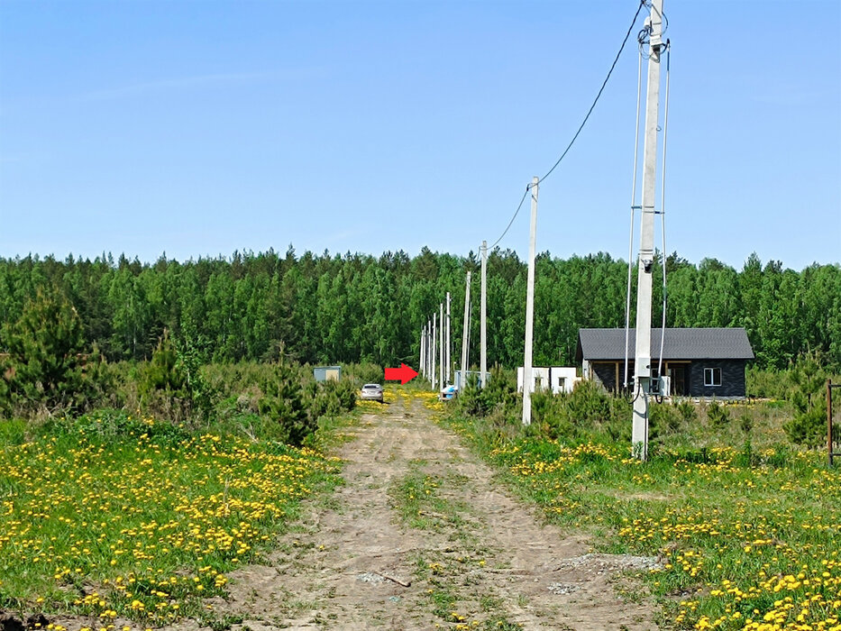 д. Раскуиха (городской округ Полевской) - фото земельного участка (7)