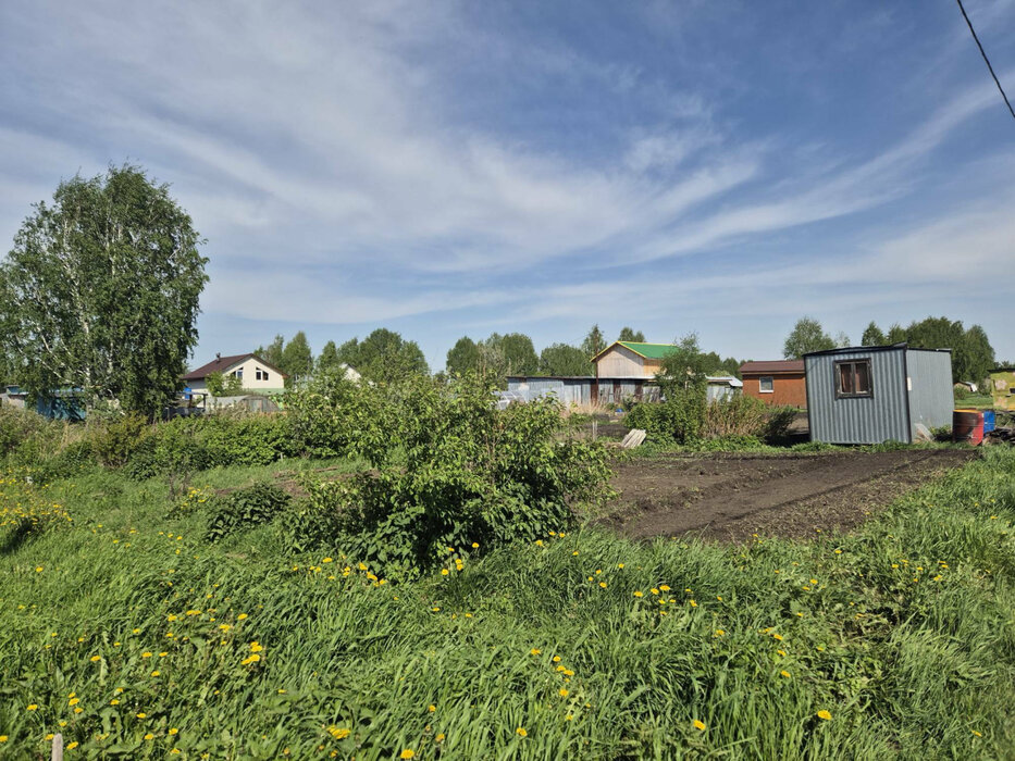п. Большой Исток, СНТ Уралец (городской округ Сысертский) - фото сада (3)