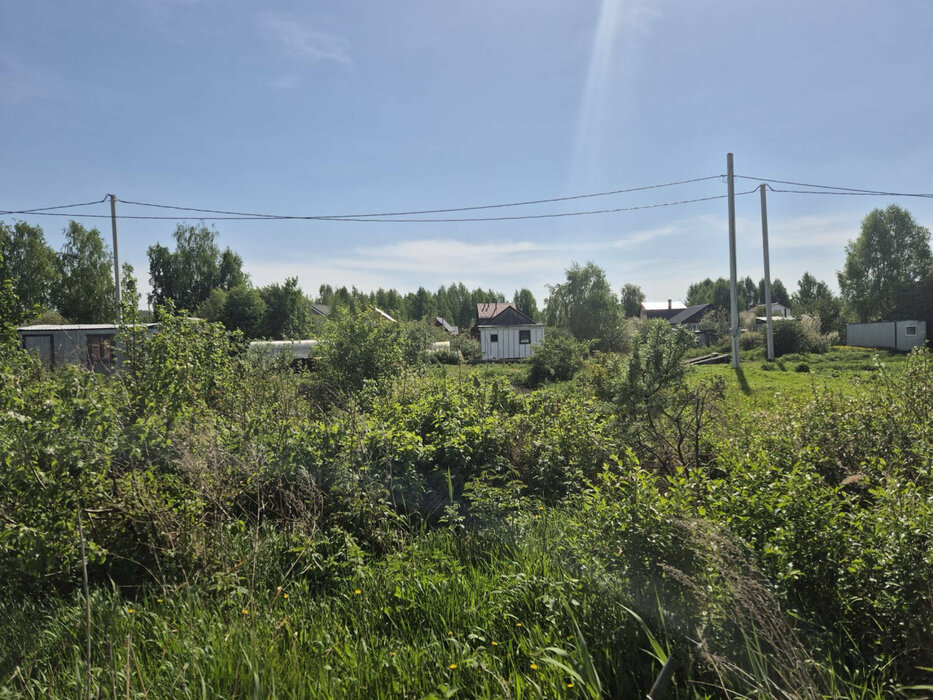 п. Большой Исток, СНТ Уралец (городской округ Сысертский) - фото сада (4)