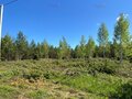 Продажа земельного участка: п. Бобровский, ул. Пастернака (городской округ Сысертский) - Фото 2