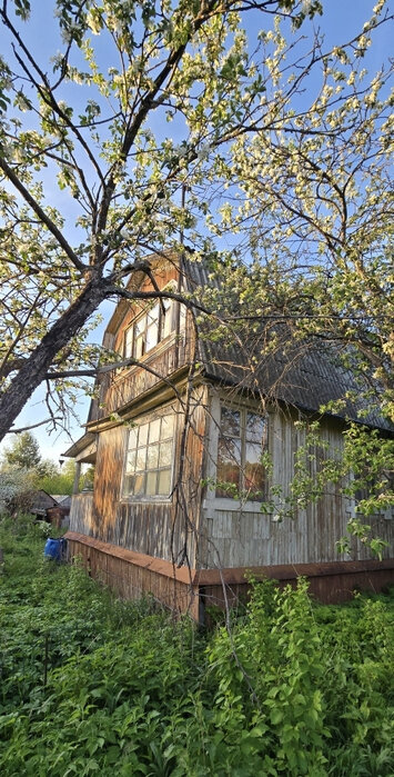п. Гать, к/с Строитель, ул. Ясная, 86 (городской округ Верхняя Пышма) - фото сада (7)
