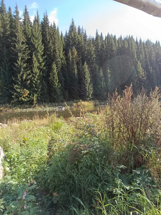 г. Нижние Серги, ул. Розы Люксембург, 3 (Нижнесергинский район) - фото земельного участка (2)