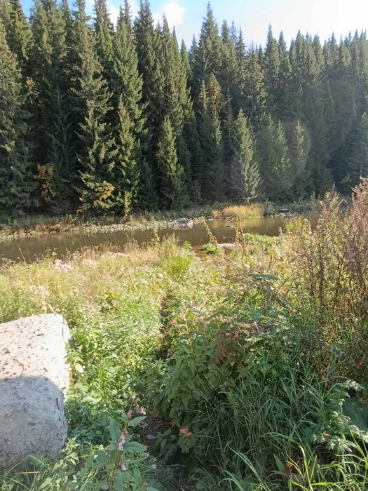 г. Нижние Серги, ул. Розы Люксембург, 3 (Нижнесергинский район) - фото земельного участка (4)