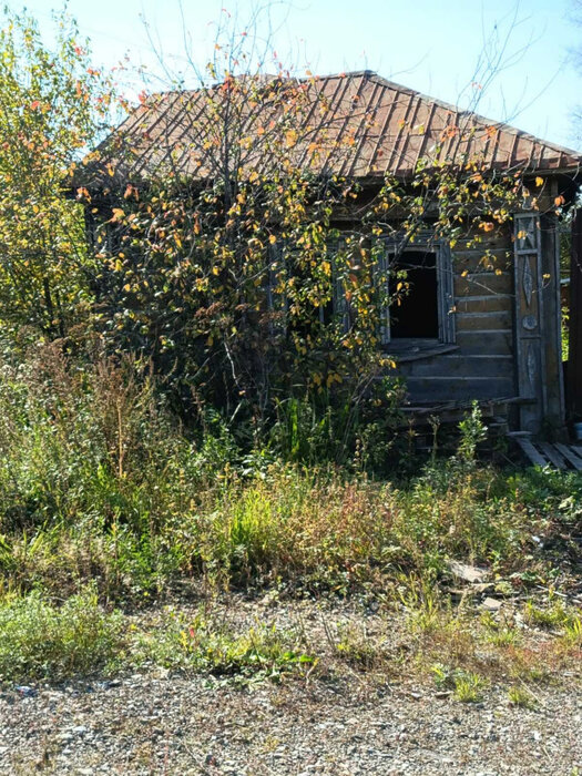 г. Нижние Серги, ул. Розы Люксембург, 3 (Нижнесергинский район) - фото земельного участка (7)