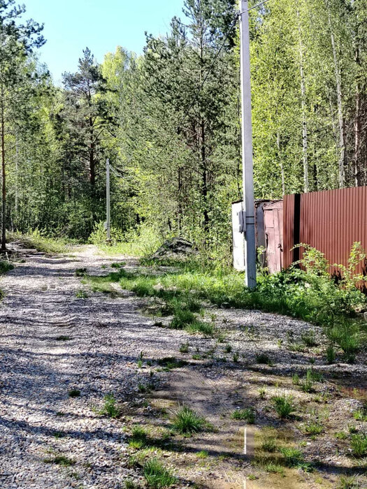 к.п. Молодежный, ул. Хвойный, 6 (городской округ Первоуральск) - фото земельного участка (1)