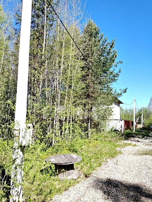 к.п. Молодежный, ул. Хвойный, 6 (городской округ Первоуральск) - фото земельного участка (4)