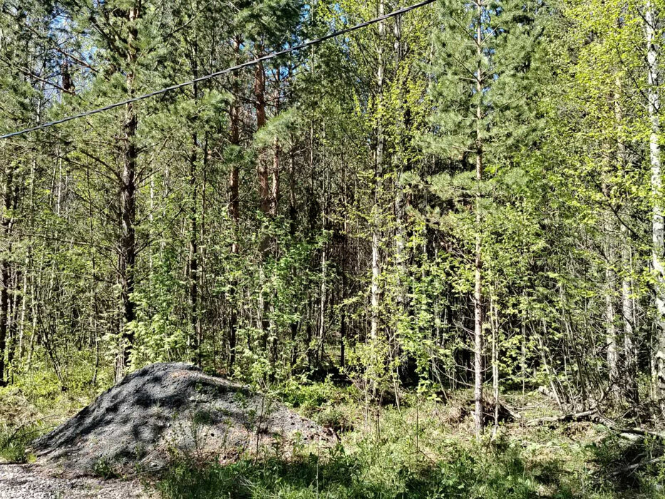 к.п. Молодежный, ул. Хвойный, 6 (городской округ Первоуральск) - фото земельного участка (8)