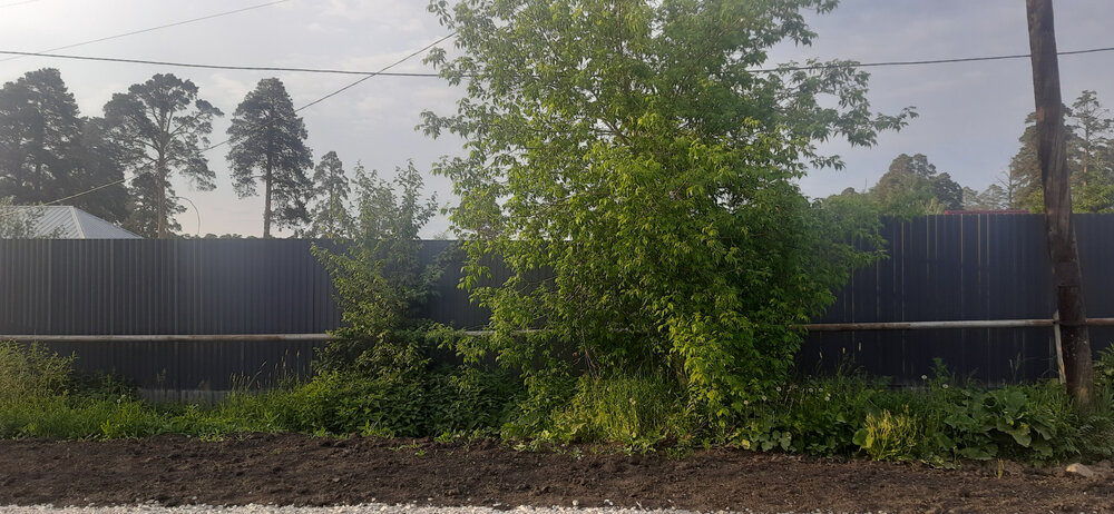 Екатеринбург, ул. Овощная, 46 (Исток) - фото земельного участка (6)