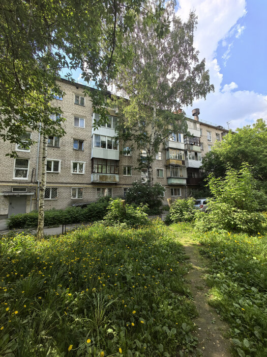 Екатеринбург, ул. Токарей, 44/2 (ВИЗ) - фото квартиры (1)