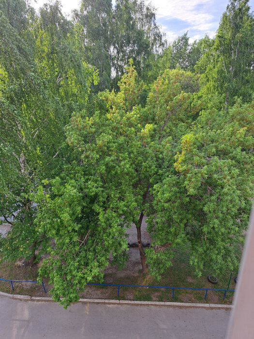 Екатеринбург, ул. Минометчиков, 30 (Новая Сортировка) - фото квартиры (6)