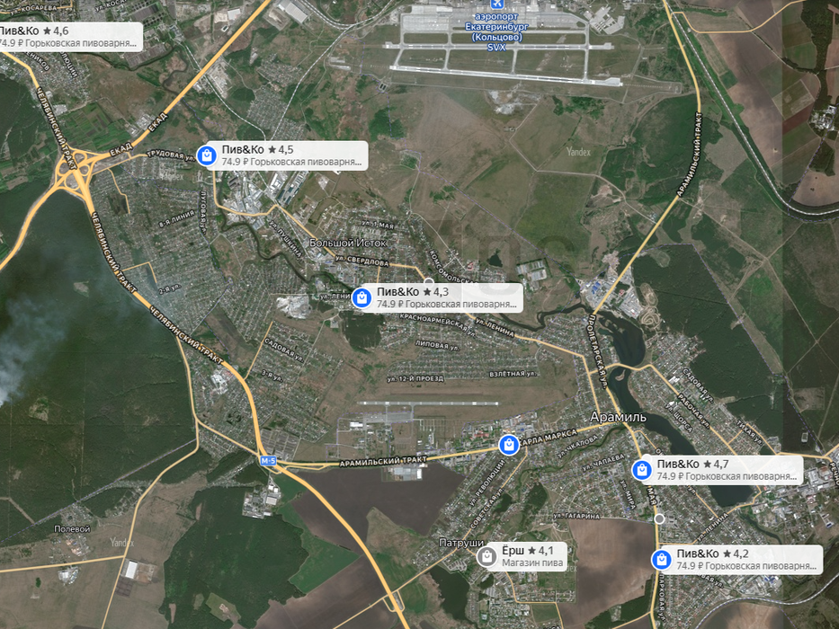 п. Большой Исток, к/с Надежда, уч. 74 (городской округ Сысертский) - фото сада (5)