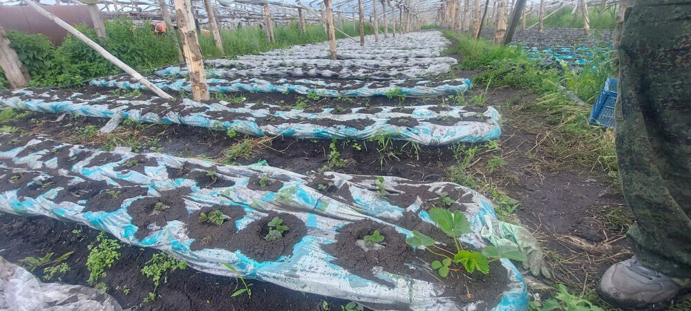 д. Банное, ул. Набережная,   (городской округ Красноуфимск) - фото земельного участка (4)
