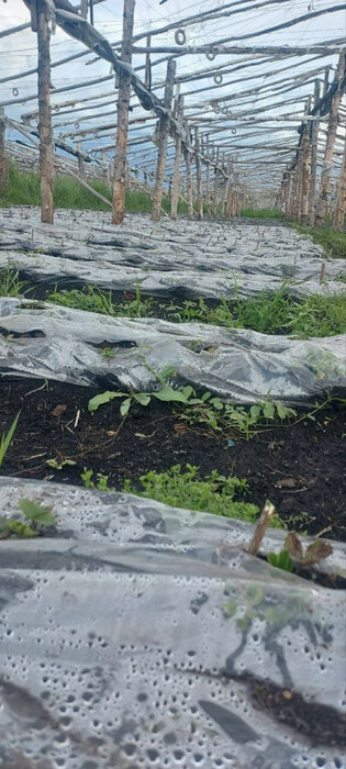 д. Банное, ул. Набережная,   (городской округ Красноуфимск) - фото земельного участка (6)