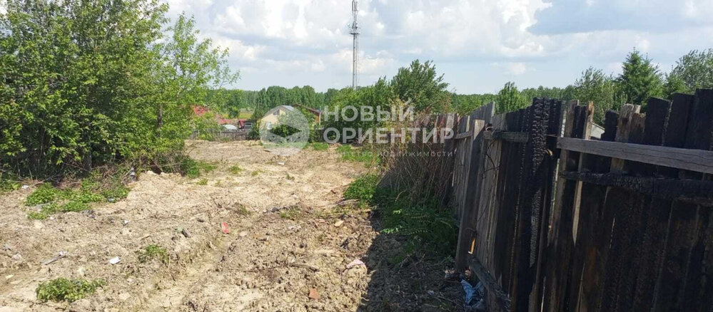 п. Зеленый бор, ул. Октябрьская, 17 (городской округ Верхняя Пышма) - фото земельного участка (8)