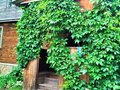 Продажа дома: д. Поварня, ул. Речная, 1А (городской округ Белоярский) - Фото 2