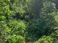Продажа земельного участка: Екатеринбург, ул. Анри Барбюса, 138 (ВИЗ) - Фото 8