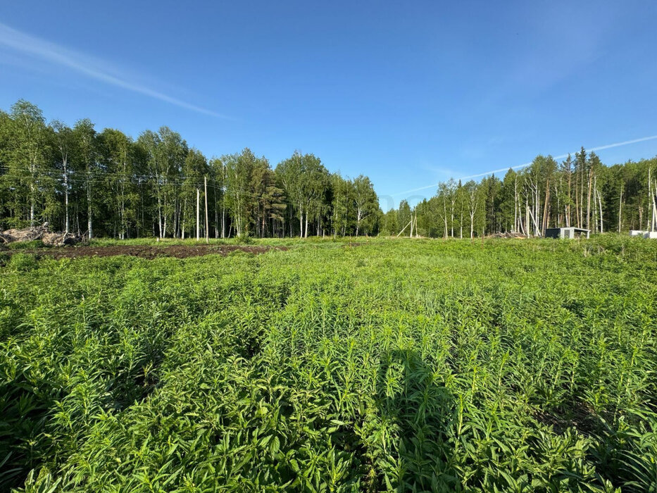 п. Соколовка, ул. Загорная,   (городской округ Верхняя Пышма) - фото земельного участка (4)
