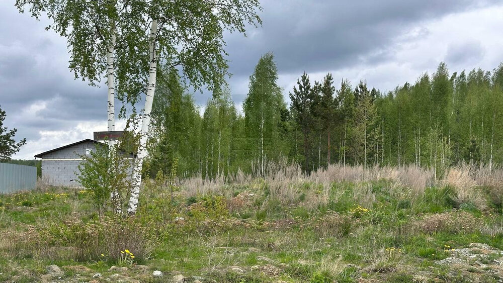 п. Монетный, ул. Спортивная, 4 (городской округ Березовский) - фото земельного участка (4)